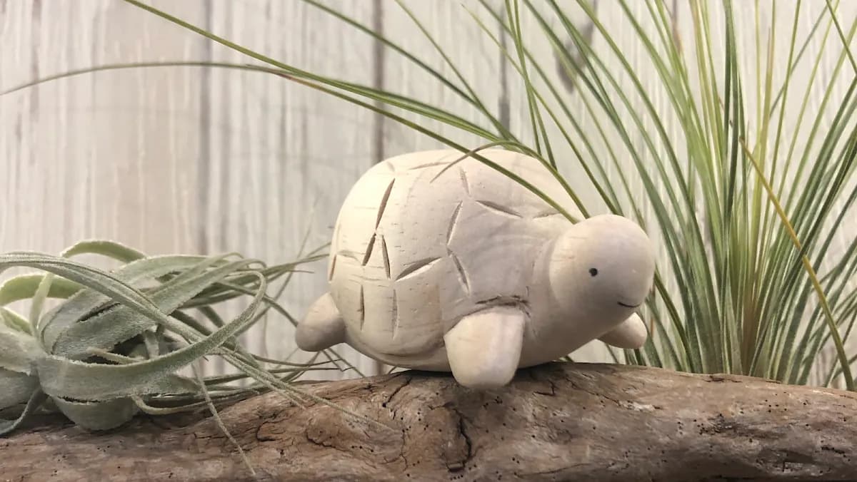 HONU hair