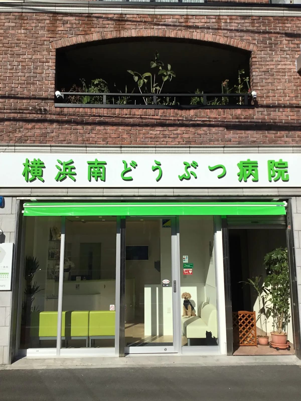 横浜南どうぶつ病院