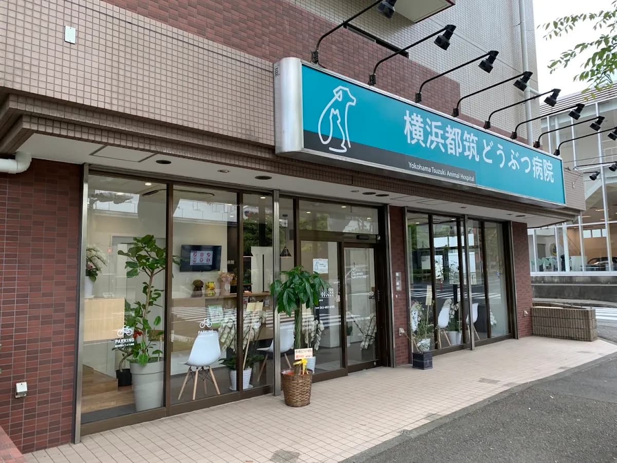 横浜都筑どうぶつ病院