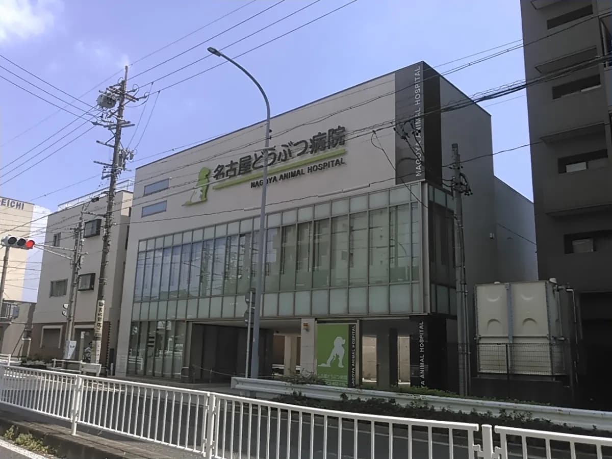 名古屋どうぶつ病院