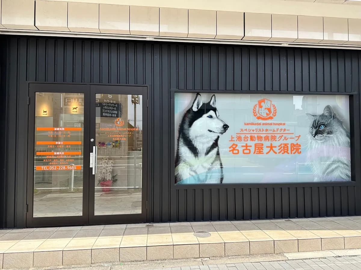 スペシャリストホームドクター 上池台動物病院グループ 名古屋大須院