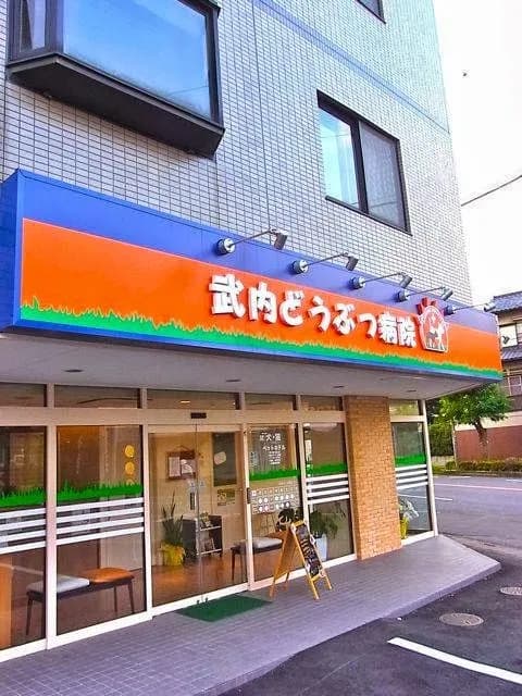 武内どうぶつ病院