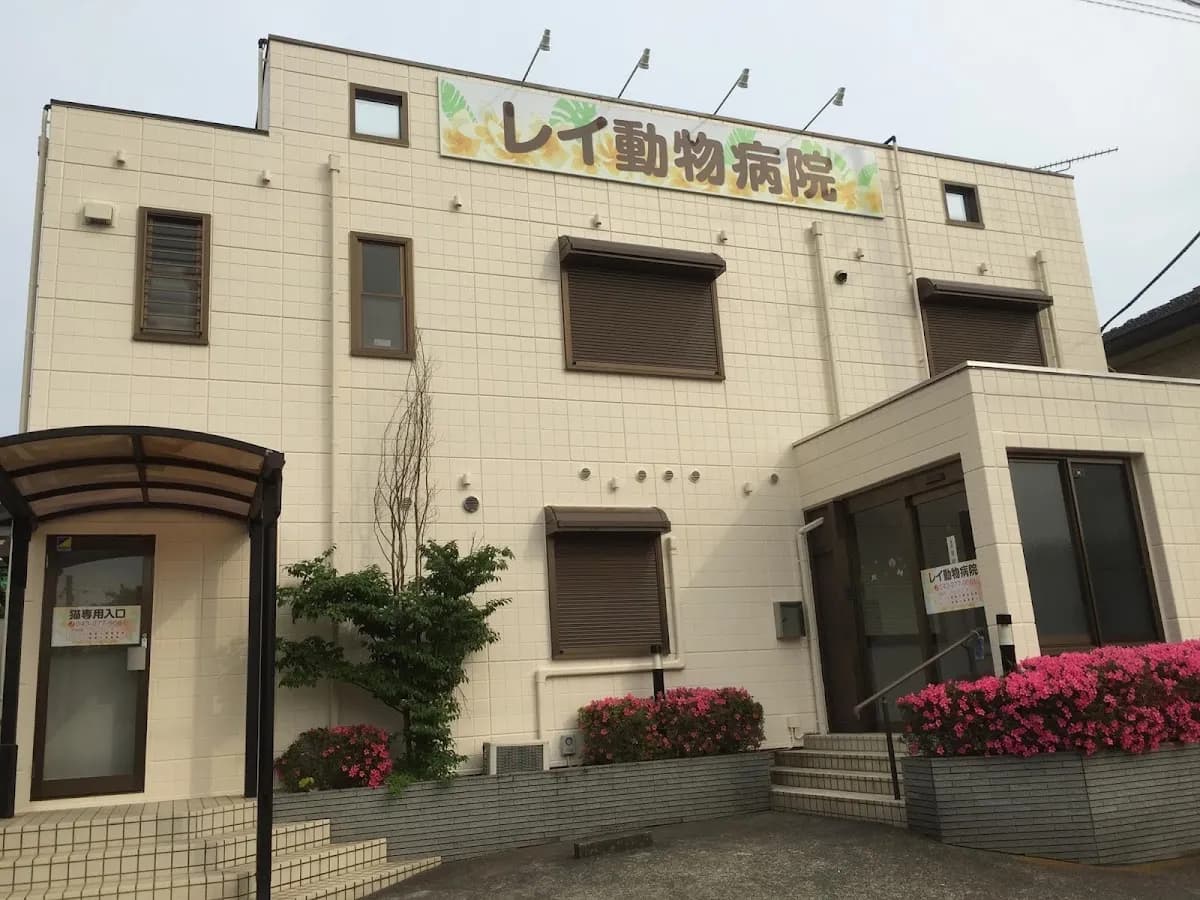 レイ動物病院