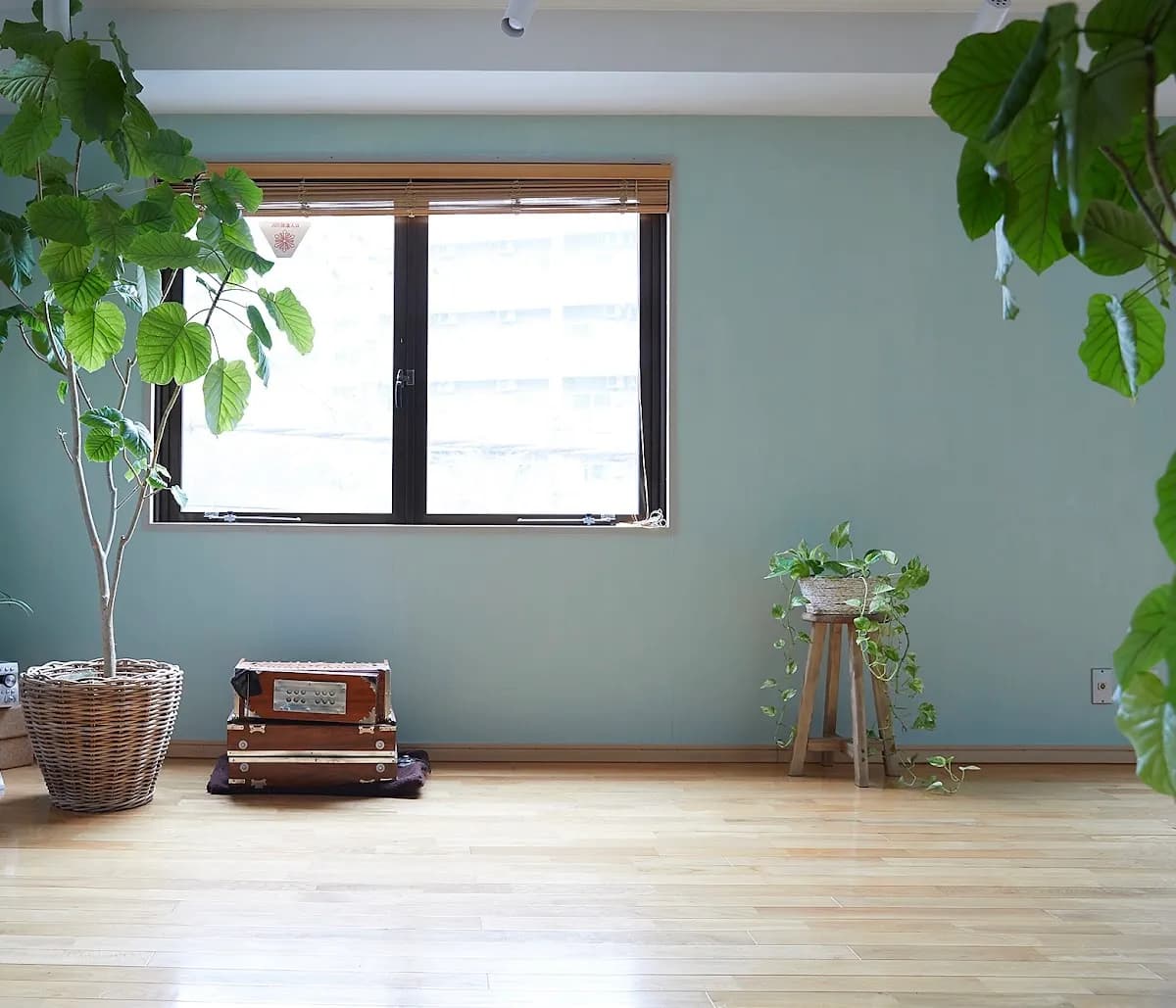 千葉ヨガセンター（CHIBA YOGA CENTER）