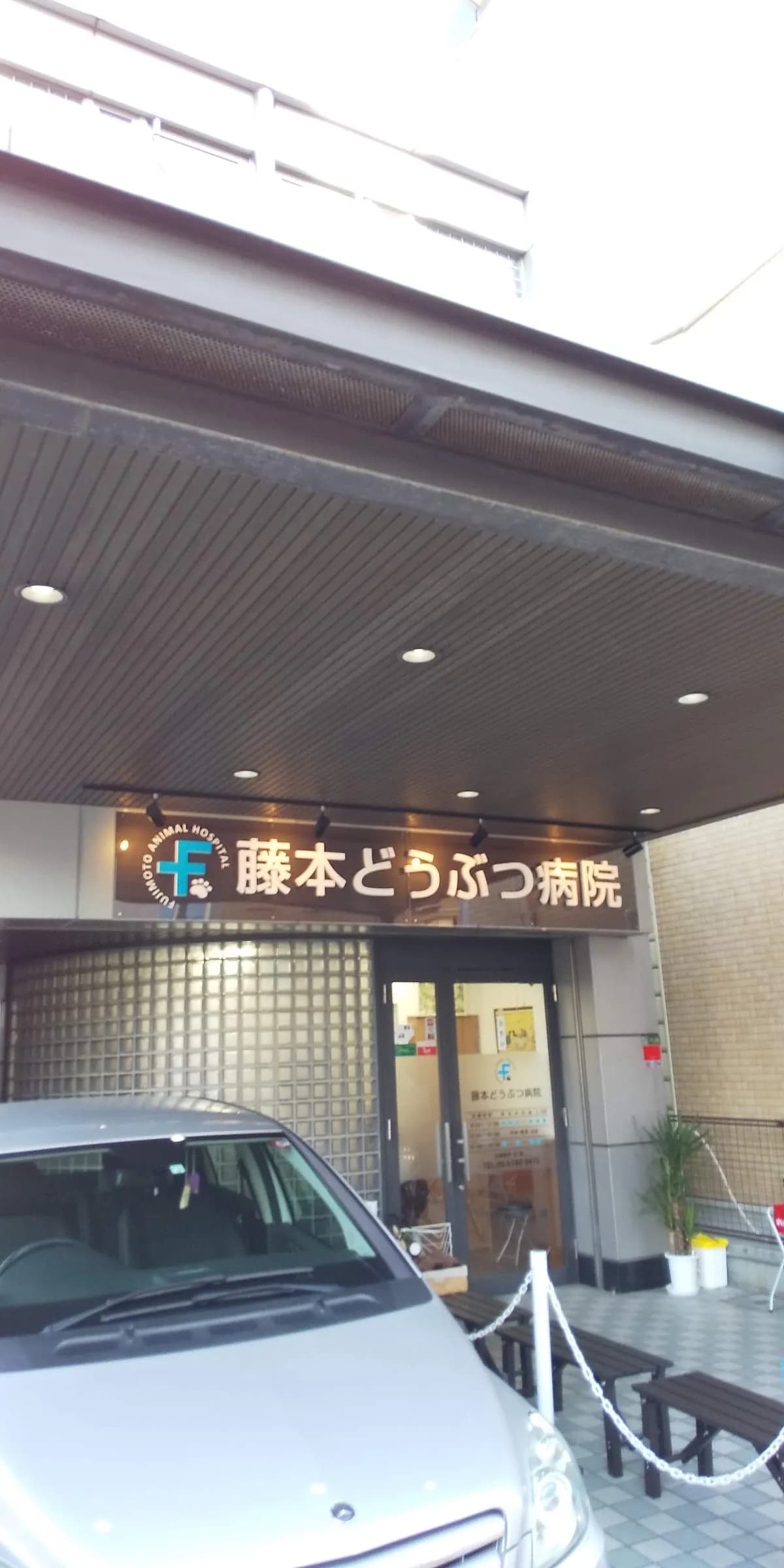 藤本どうぶつ病院