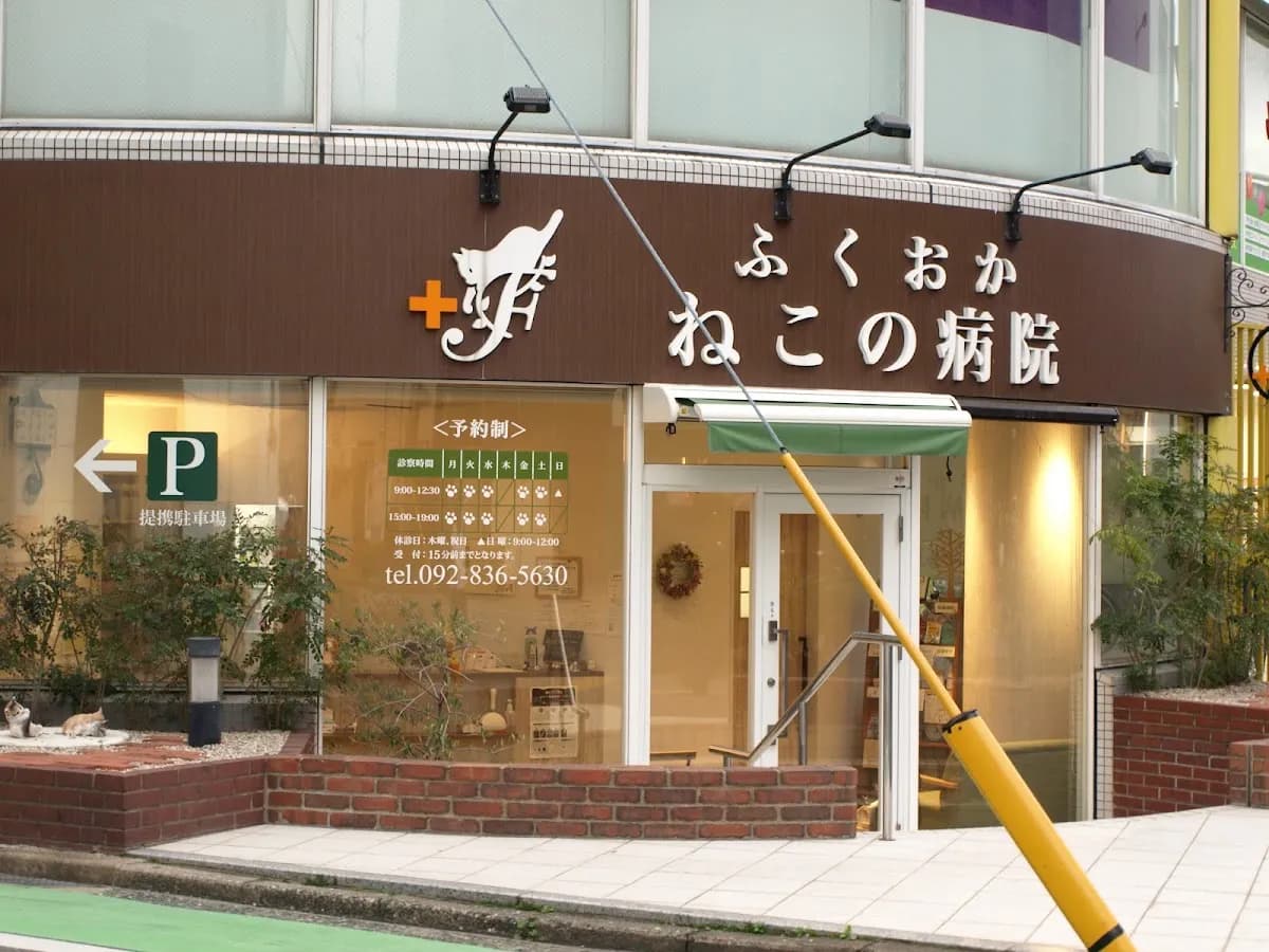 福岡ねこの病院