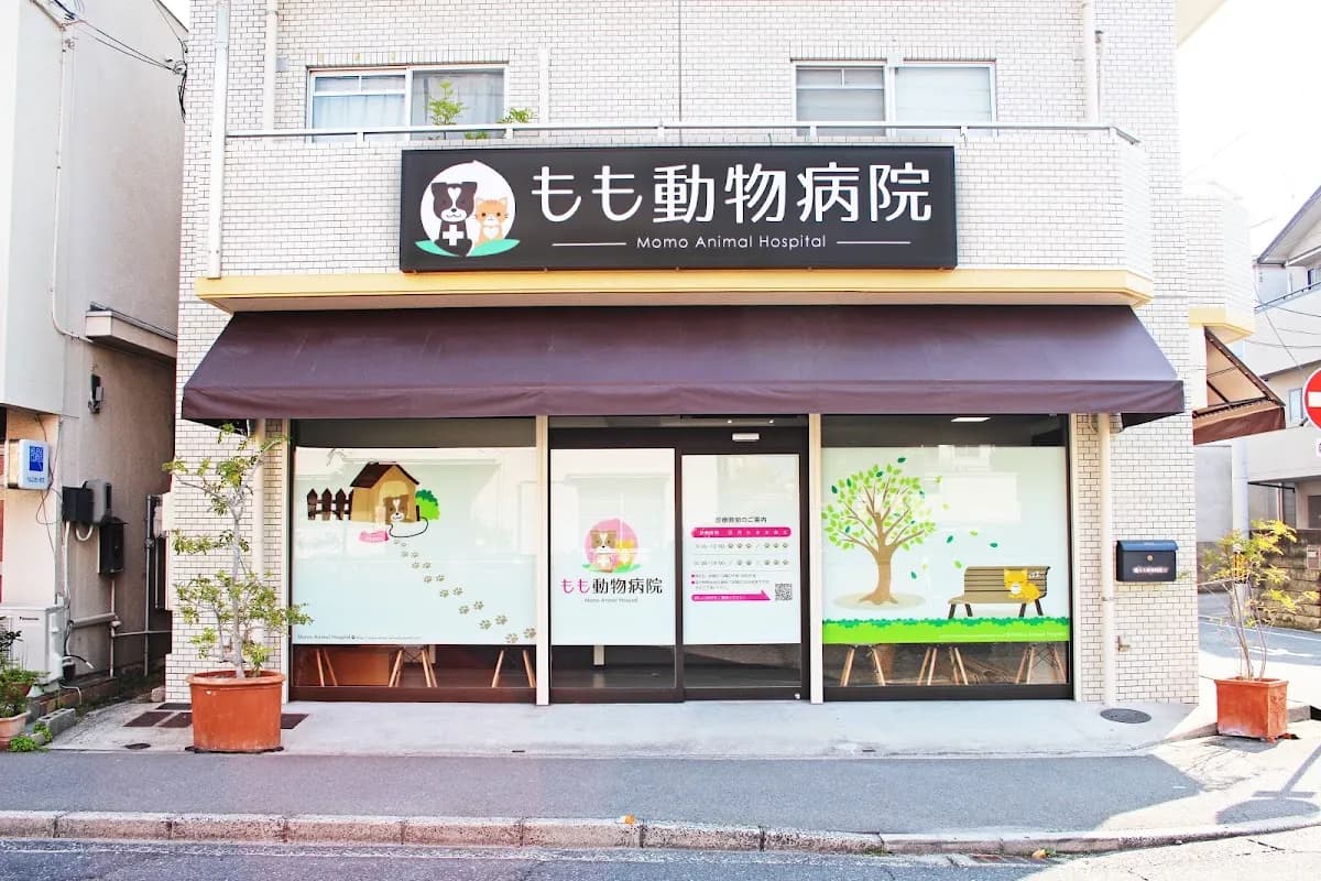 もも動物病院