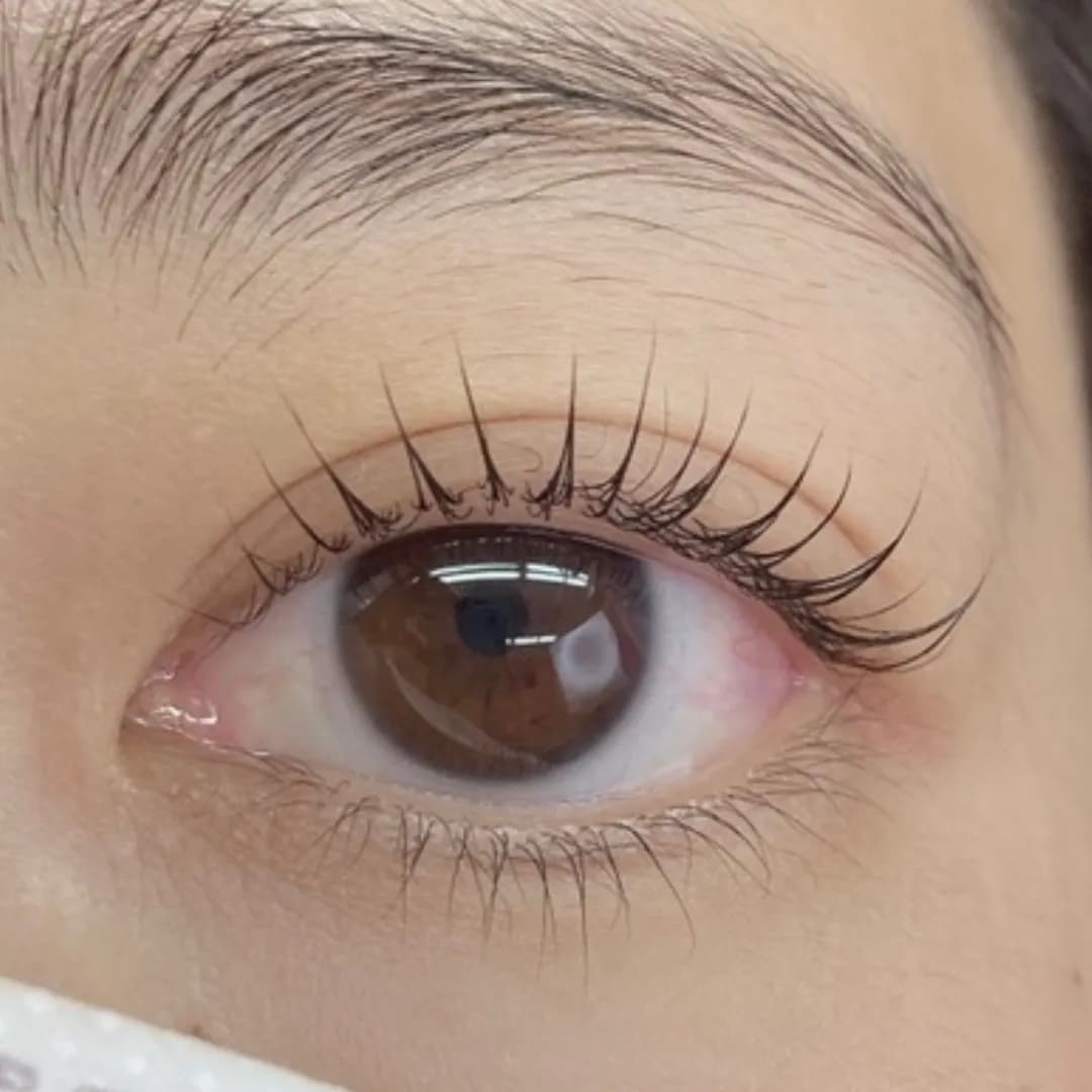 Eye Dress（アイドレス）西新宿