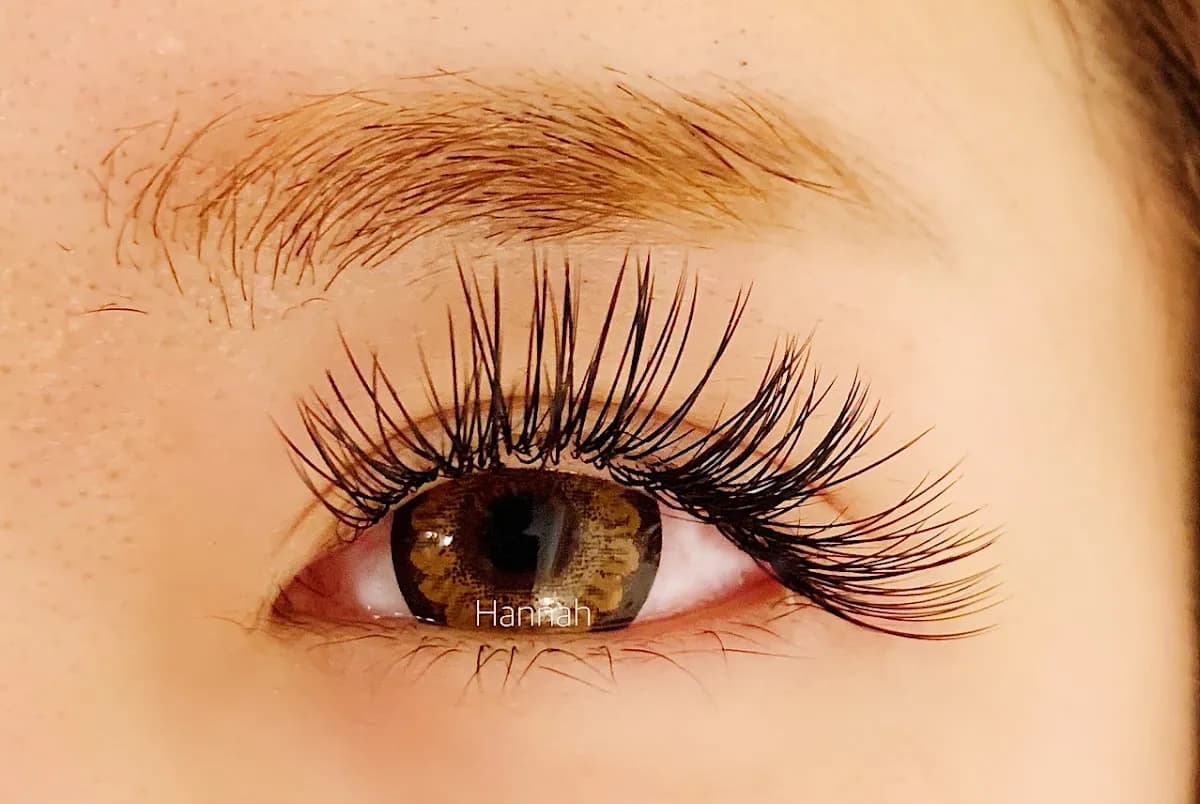Hannah lash ハンナラッシュ