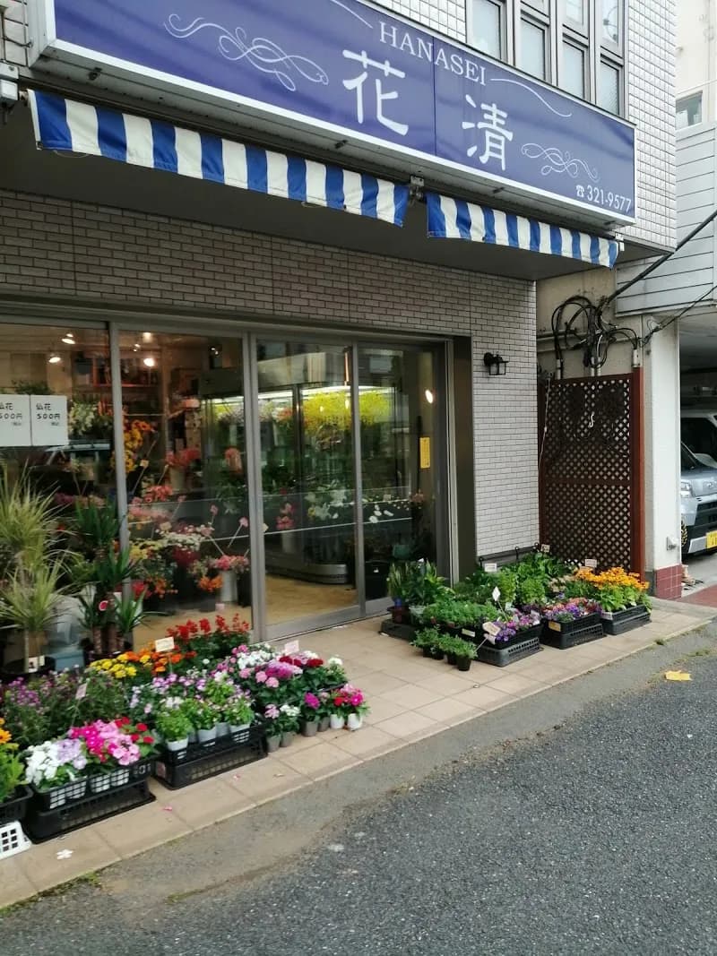 花清