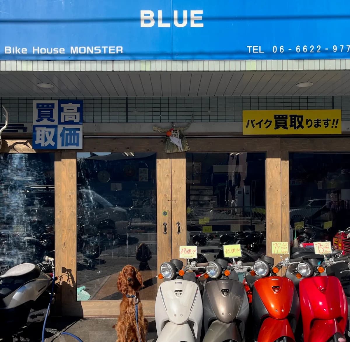 バイク屋 ＢＬＵＥ