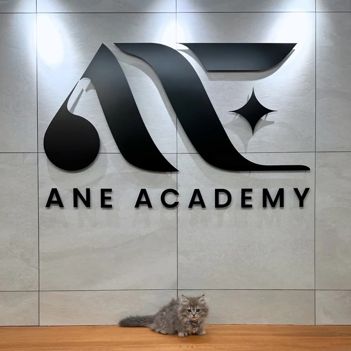 ANE ACADEMY