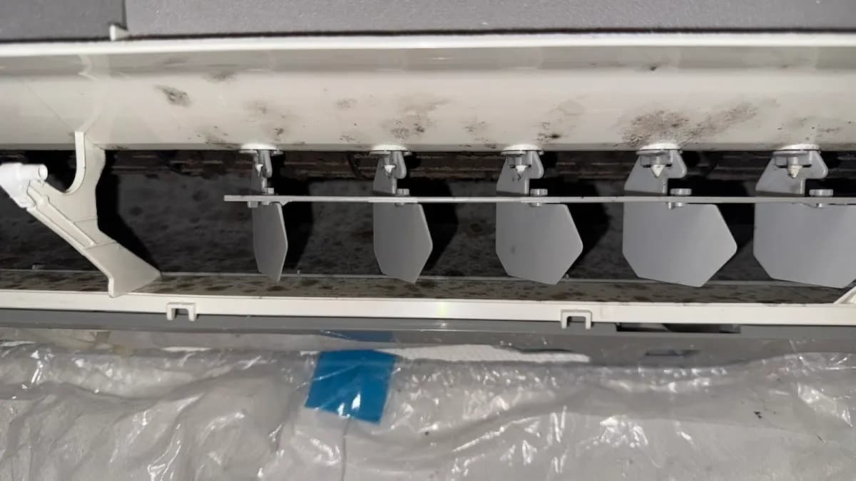 K2 cleaning