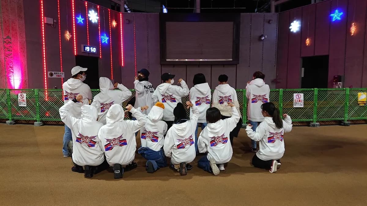 Dance School Sheep