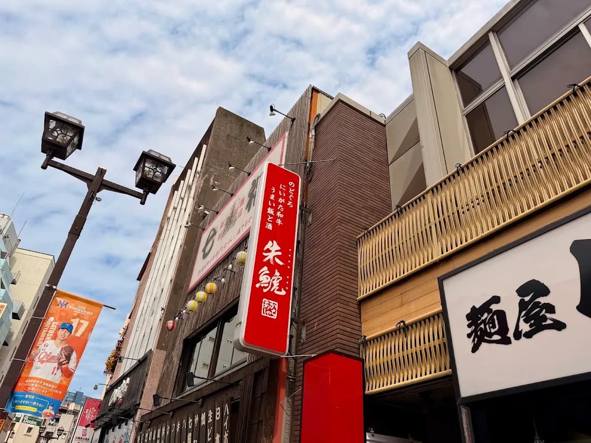 朱鯱