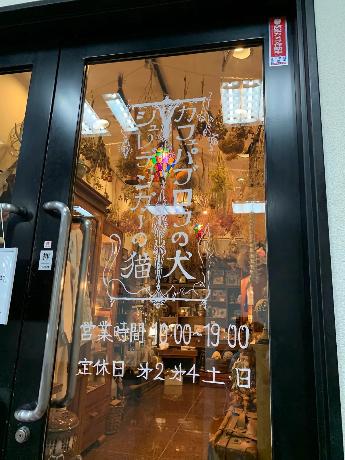 シュレディンガーの猫