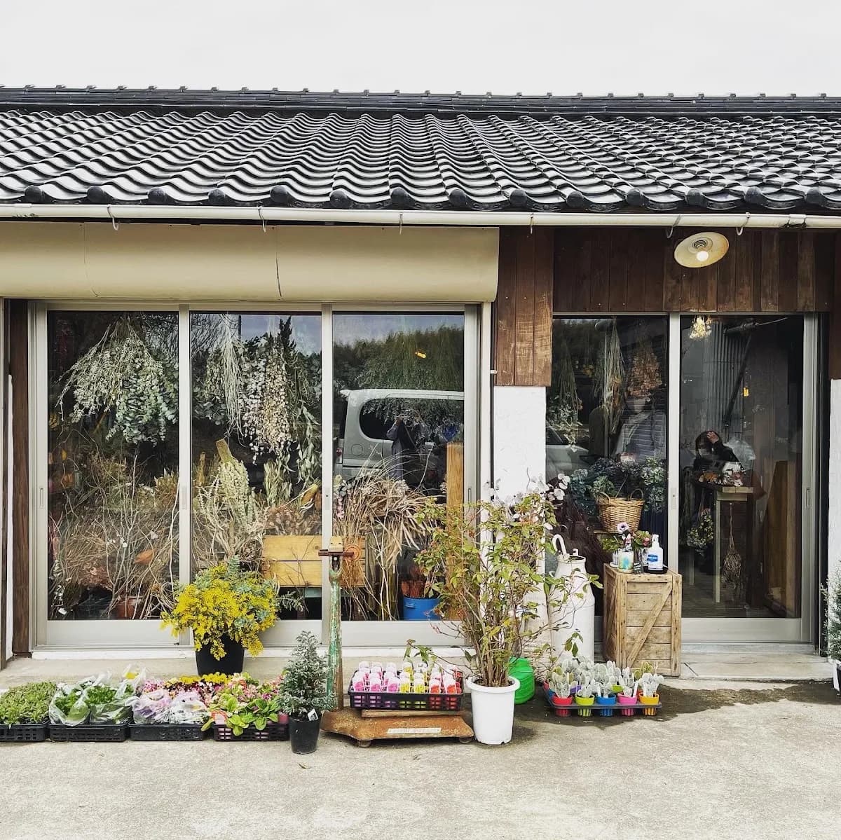 キャンドルと植物 kokoroe