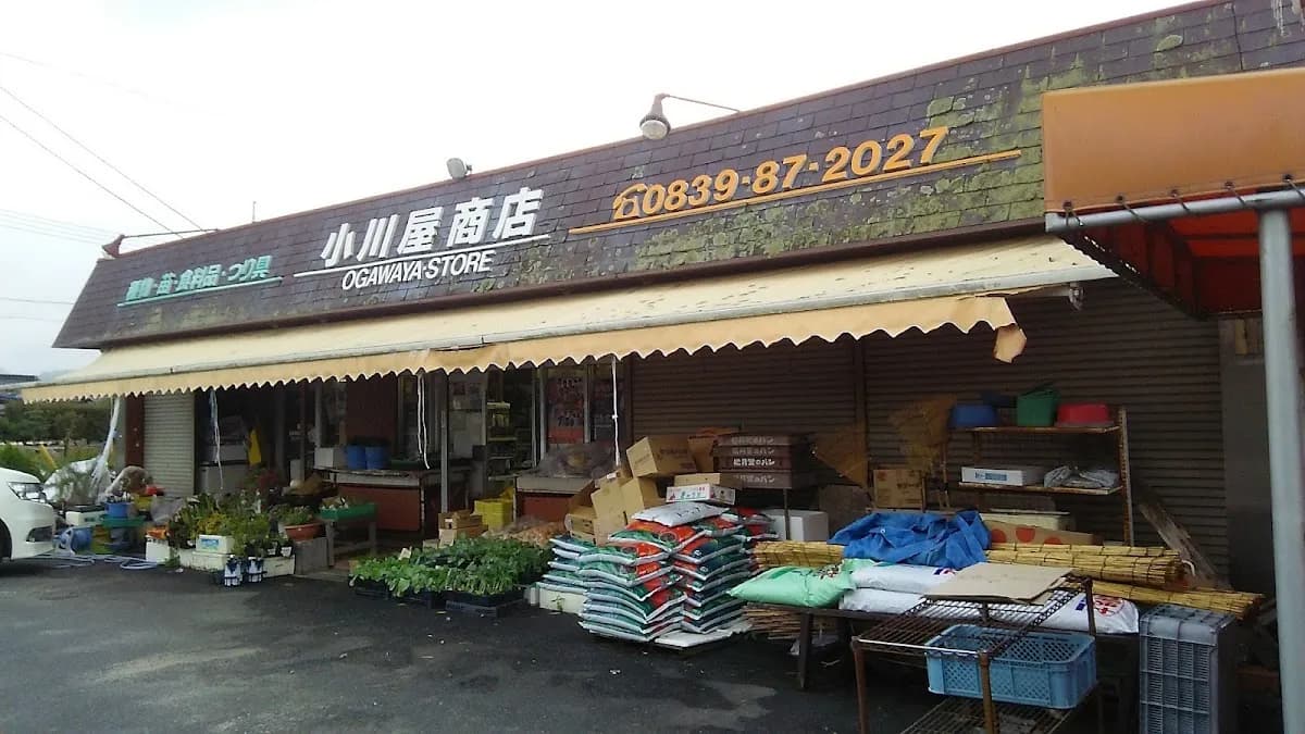 小川屋商店