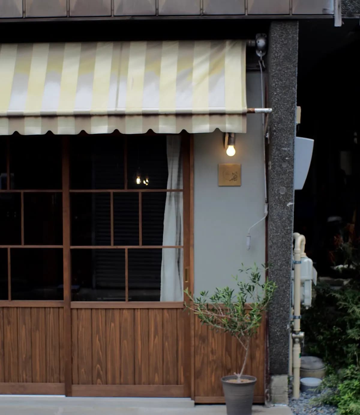 café hoyo