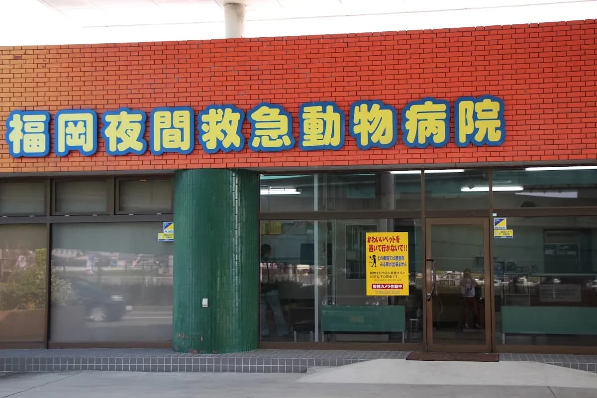 福岡夜間救急動物病院