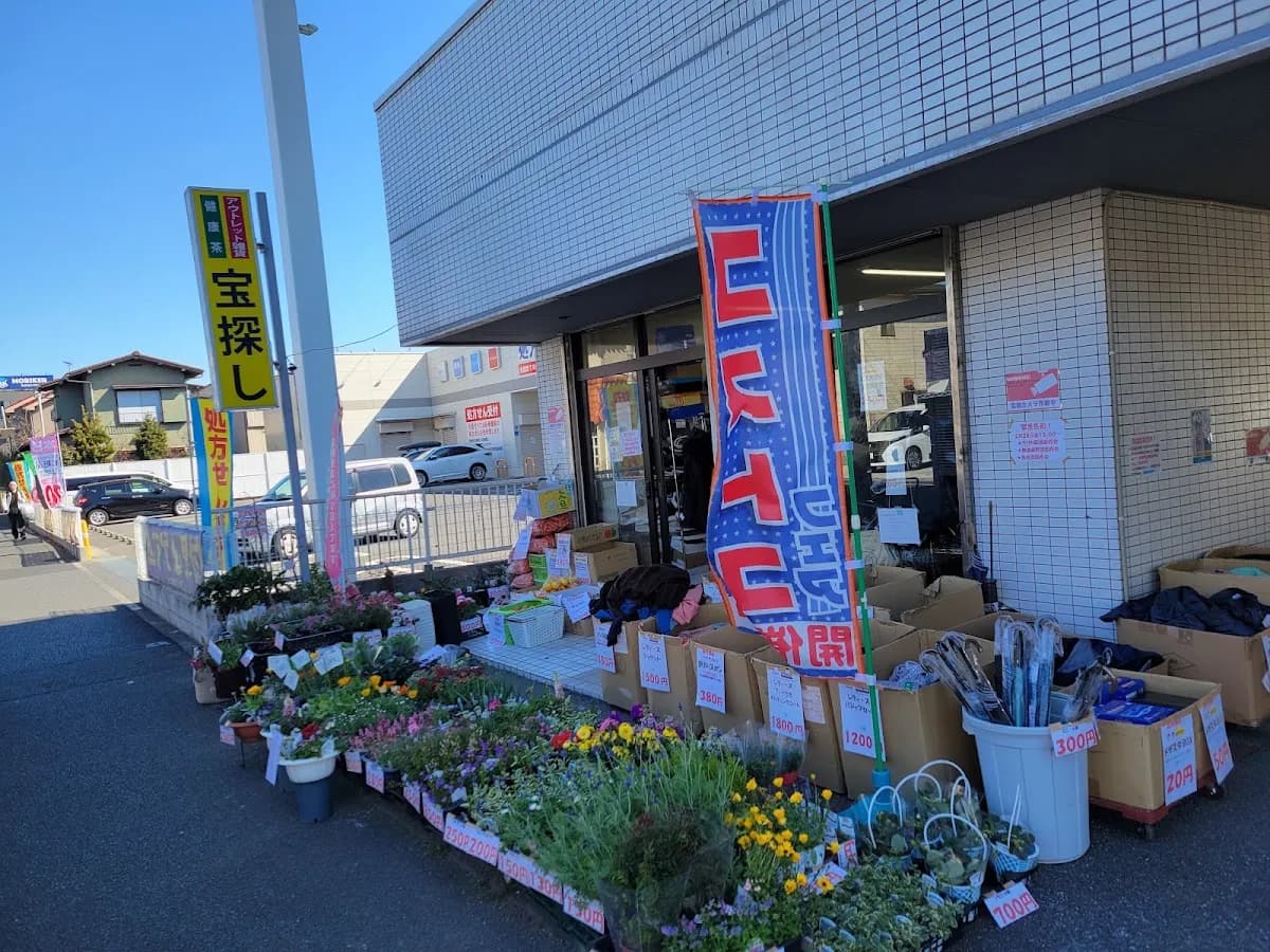 宝探し(健康茶 激安アウトレット雑貨)