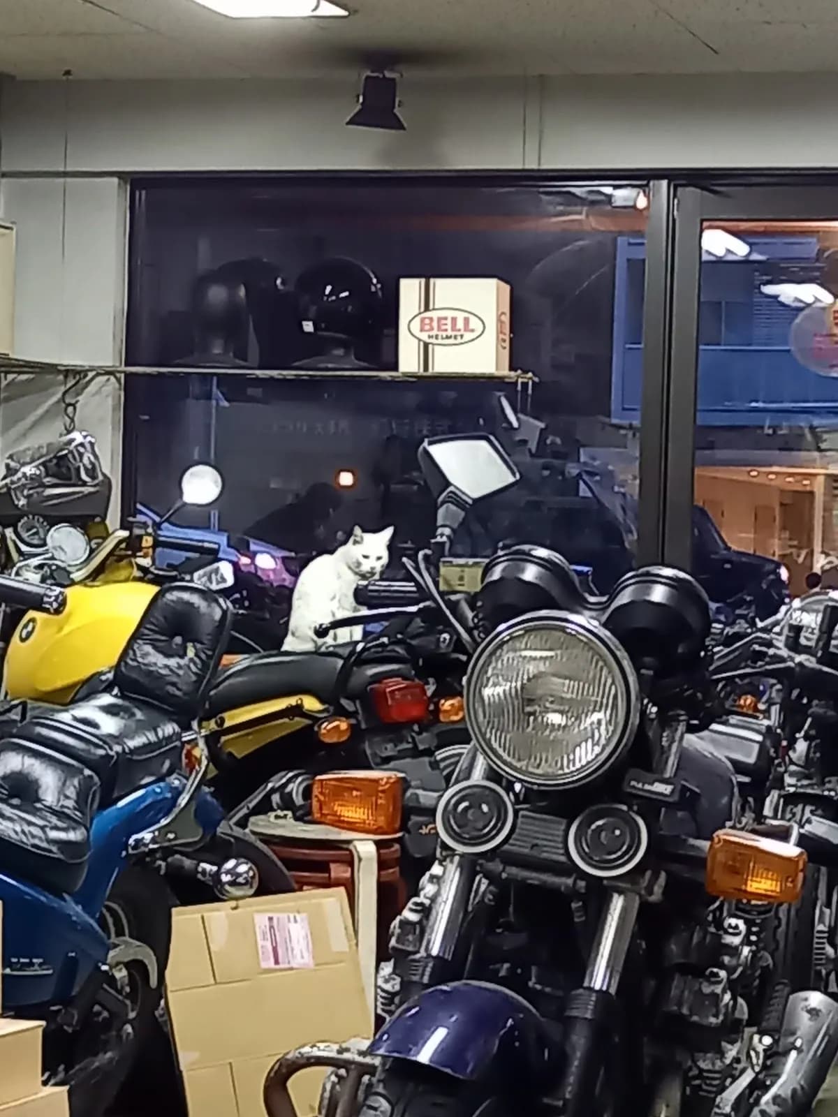 ホンダウィング角地