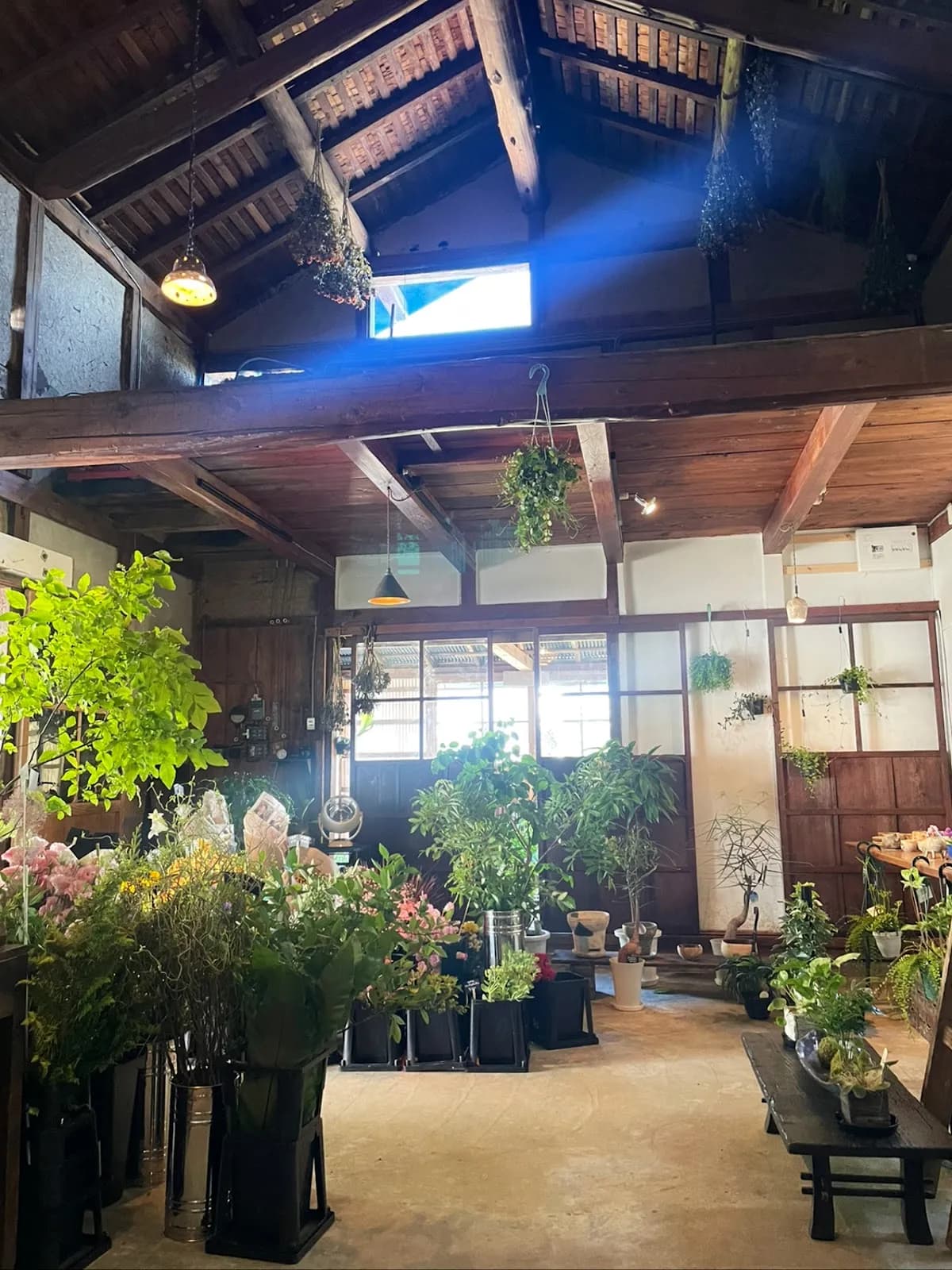 土と花 花筏