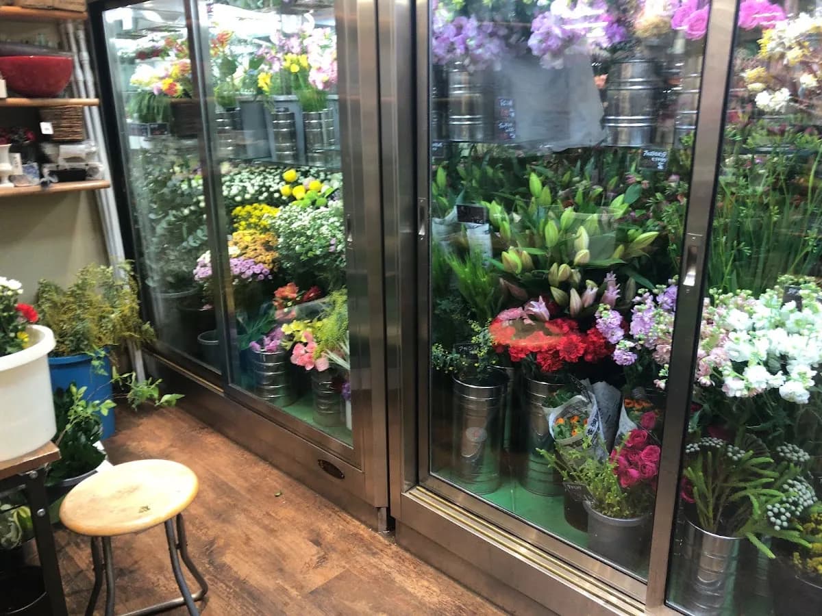 Flower shop Lalo(ラロ)