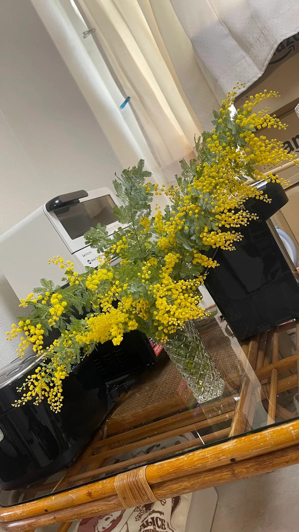 GardenM 天満屋岡山店