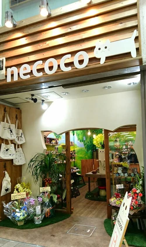 necoco