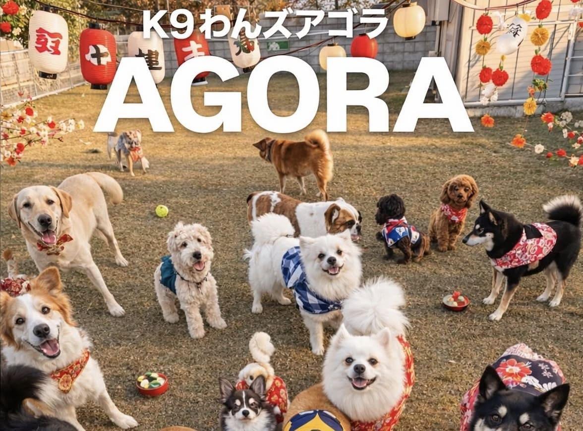 犬の幼稚園わん'sアゴラ